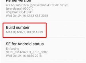 número de compilación