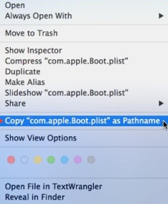 copiar ruta de archivo mac