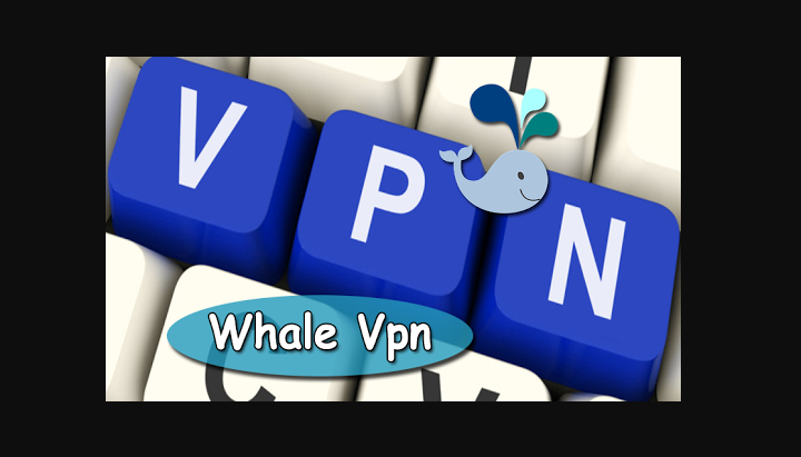 Ballena VPN para PC
