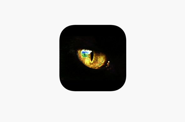 Nuevo Catcheye Plus para pc