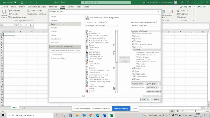 ¿Cómo activar VBA en Excel en Mac?