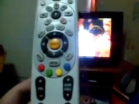 ¿Qué número son los canales para adultos en Directv?