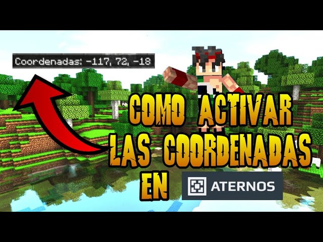¿Cómo ver coordenadas en PC?