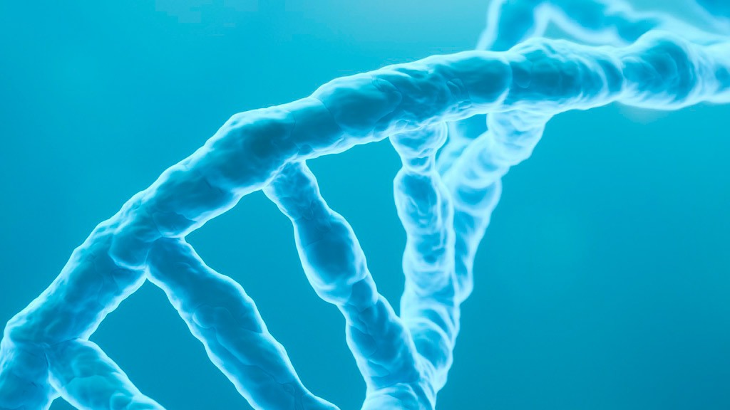 ¿Qué es para ti la riqueza?