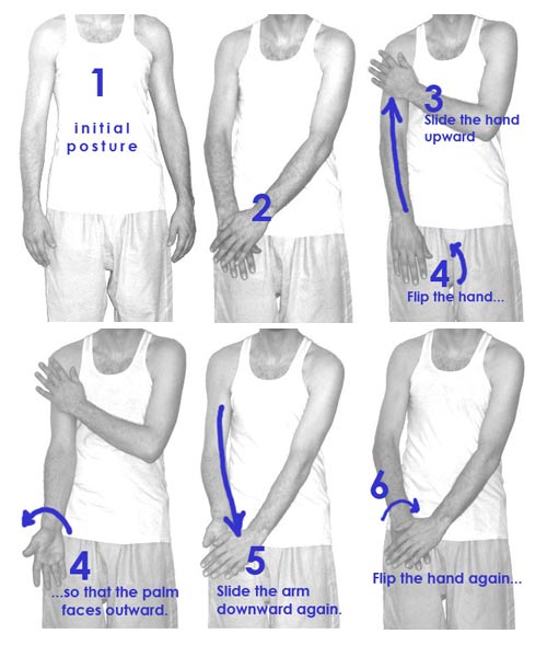 ¿Qué es el Chi y cómo funciona?