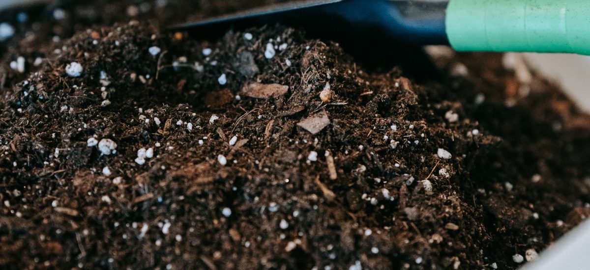 ¿Qué son los activadores del compost?