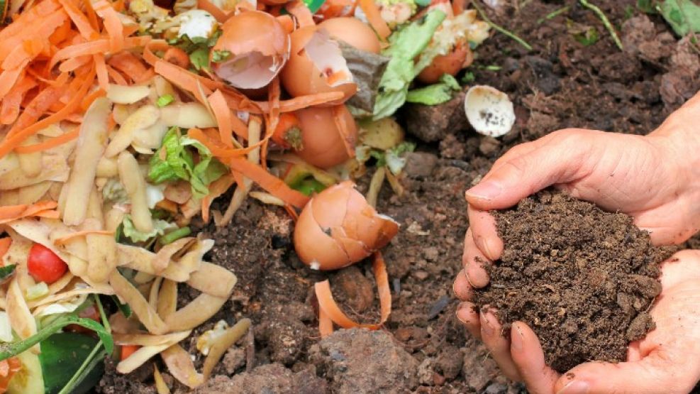 ¿Cómo saber si el compost está funcionando?