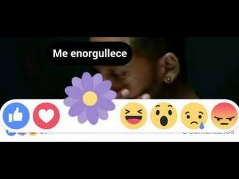 como-activar-el-me-enorgullece-3