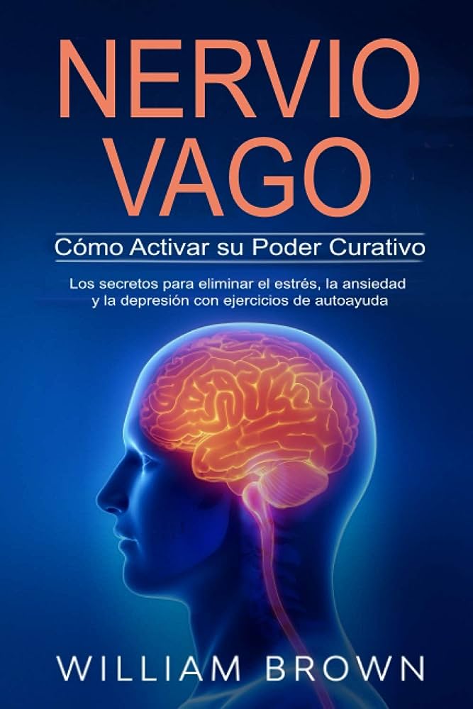 ¿Qué activa el nervio vago?
