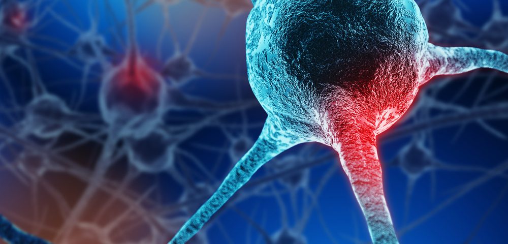 ¿Qué alimentos activan la proteína Nrf2?