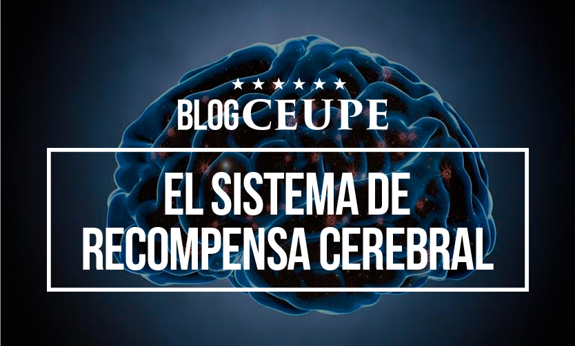 ¿Cómo se activa el sistema de recompensa?
