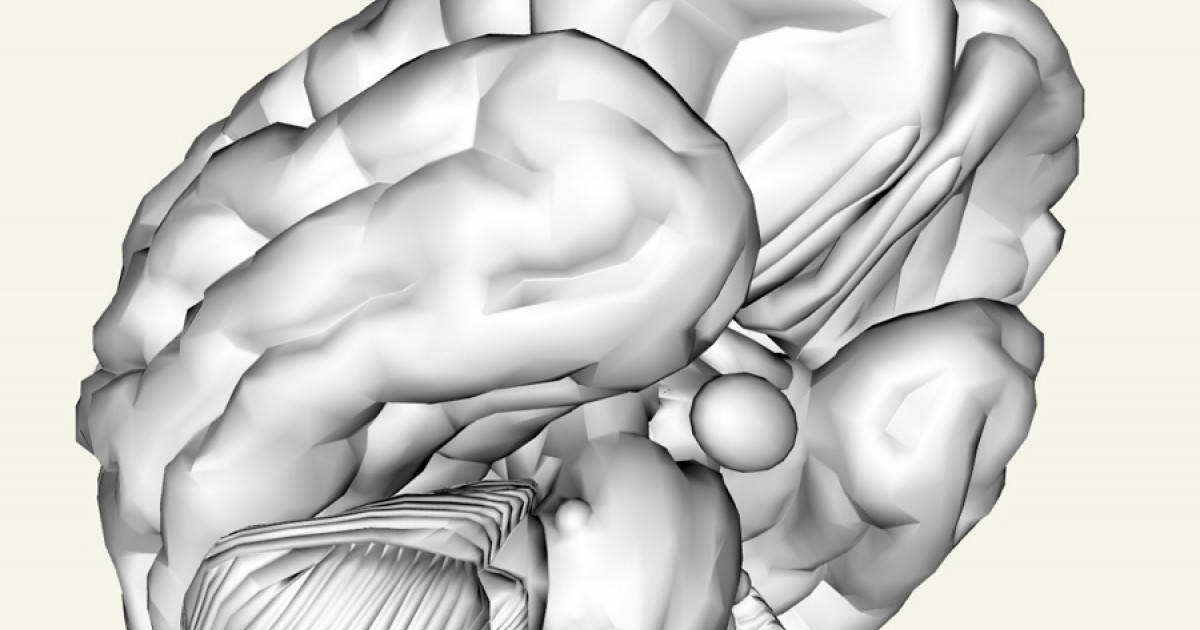 ¿Qué controla el sistema reticular activador ascendente?