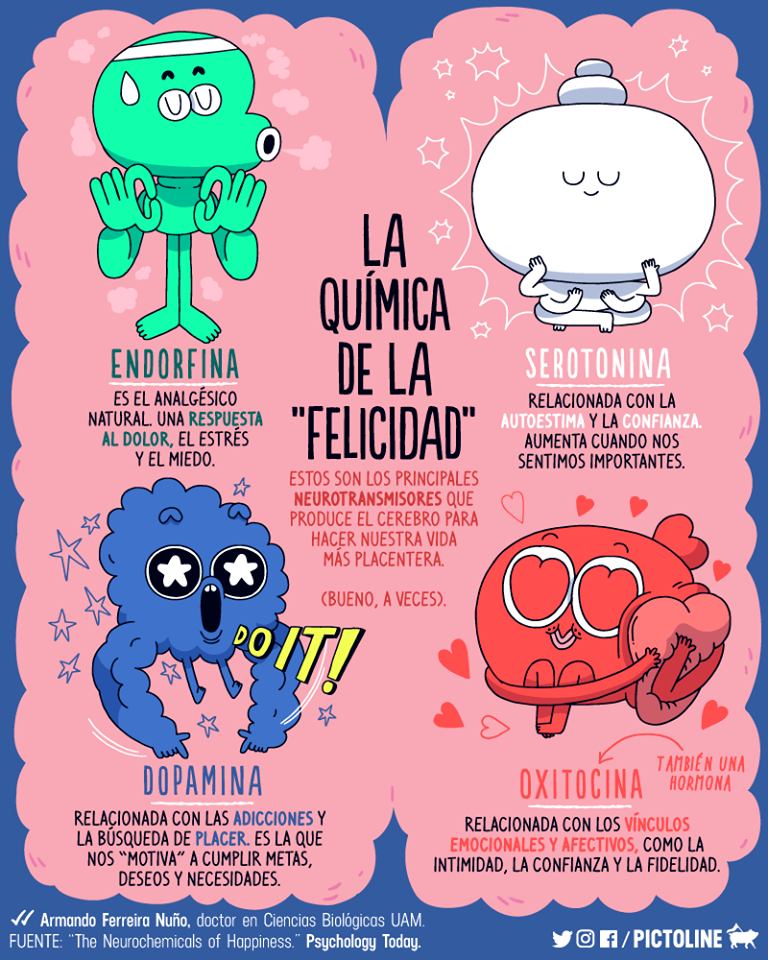 ¿Qué alimento activa la hormona de la felicidad?