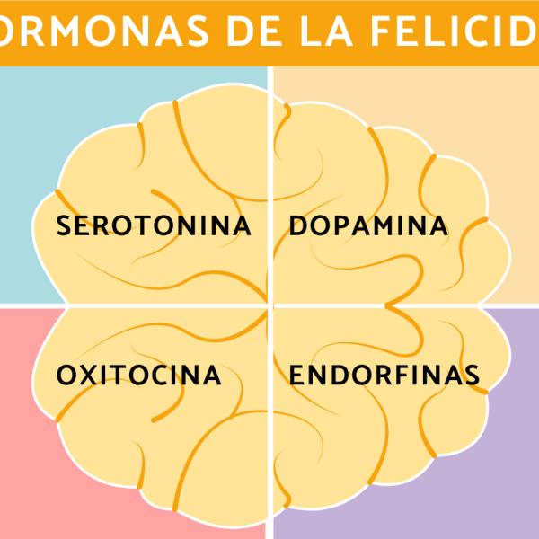 ¿Cómo aumentar la serotonina y la dopamina?