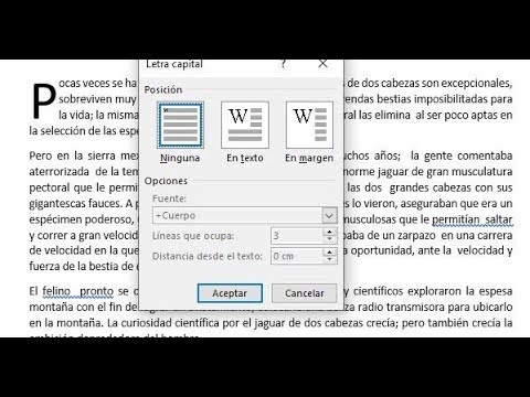 ¿Cómo poner letra capital en Word Ipad?