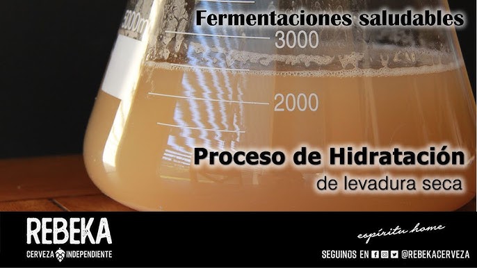 ¿Cómo se activa la levadura para cerveza?