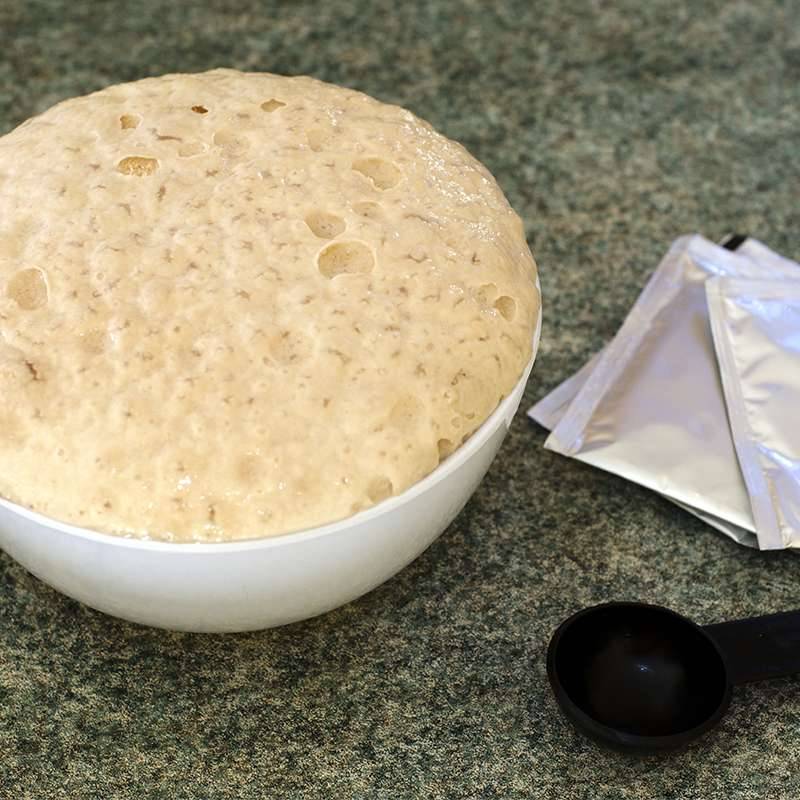 ¿Cuándo se agrega la levadura en la cerveza?