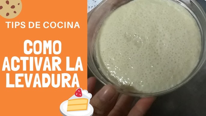 ¿Cómo se utiliza la levadura seca?