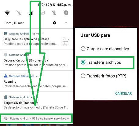 ¿Cómo activar la opción de transferir archivos?