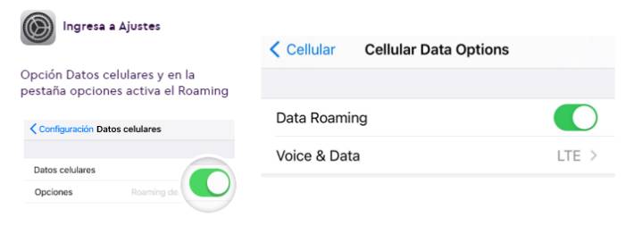 ¿Cómo saber si tengo datos en WOM?