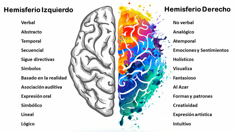 ¿Cuáles son los ejercicios de gimnasia cerebral?