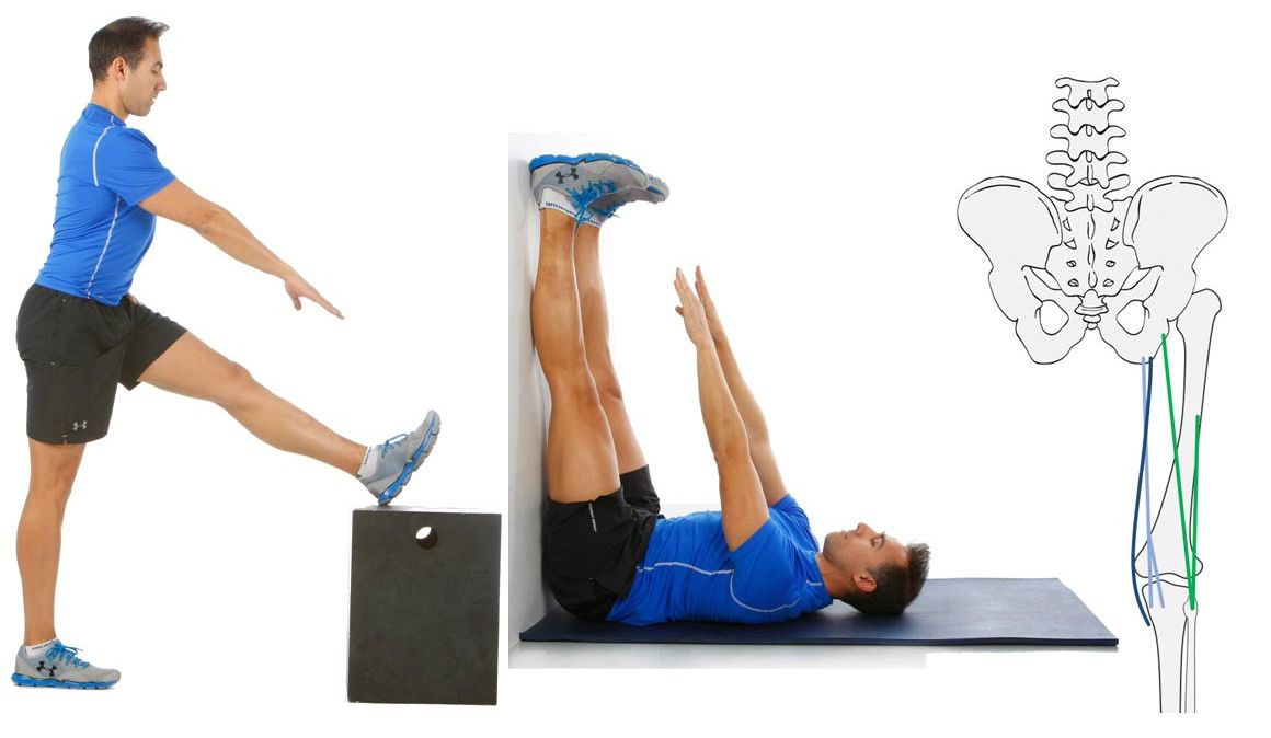 ¿Cómo estimular los isquiotibiales?