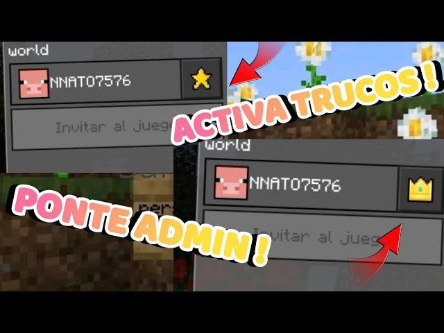 como-activar-los-trucos-en-aternos-3