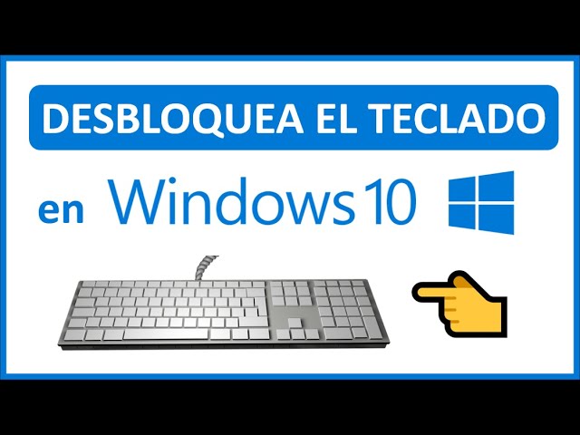 ¿Qué hacer cuando el teclado de mi laptop HP no funciona?