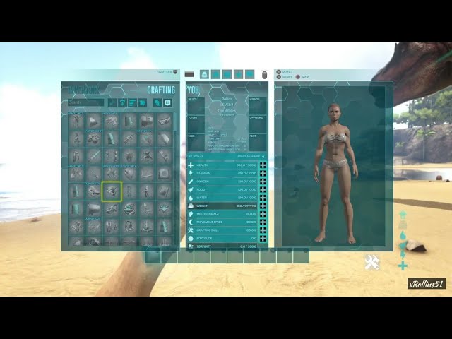 ¿Cómo activar los comandos de admin en Ark ps4?