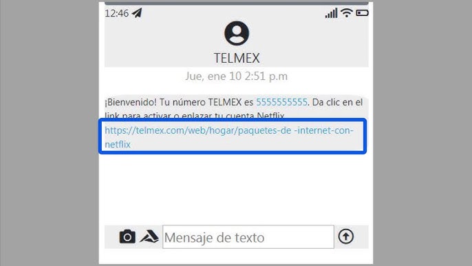¿Cuánto cuesta incluir Netflix en Telmex?