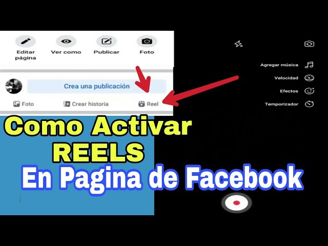 ¿Cómo hago para que me aparezcan los Reels?