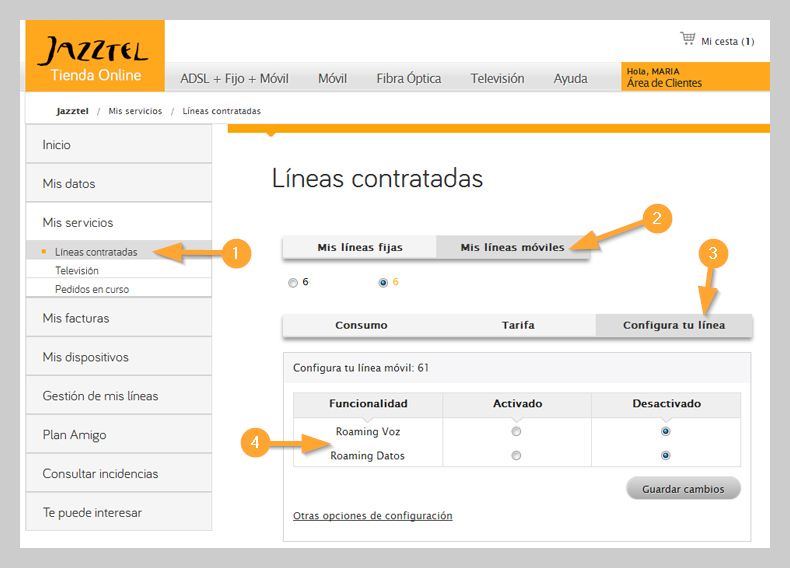 ¿Cómo activar el roaming y la Itinerancia de datos?