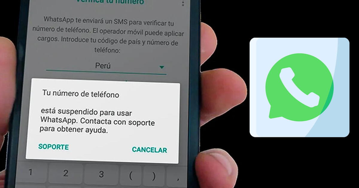 ¿Cómo recuperar un número de teléfono suspendido?