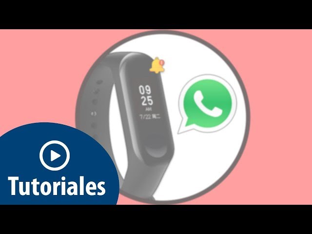 ¿Cómo recibir notificaciones de WhatsApp en smartwatch Xiaomi?