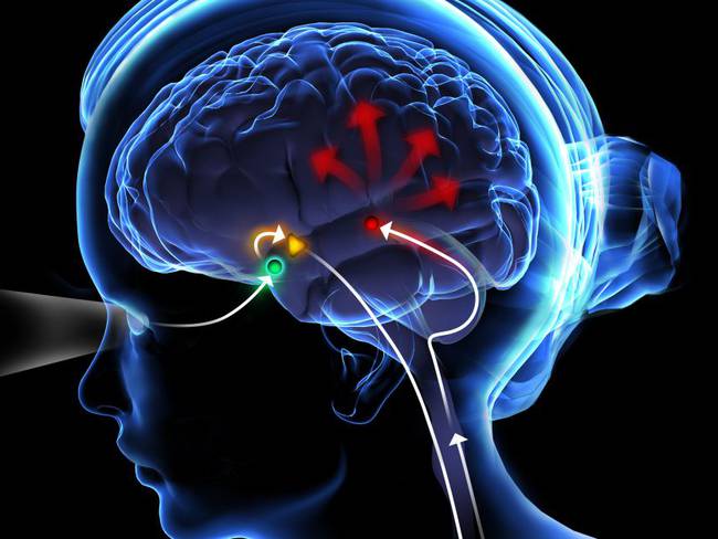 ¿Qué puedo hacer para activar la glándula pineal?